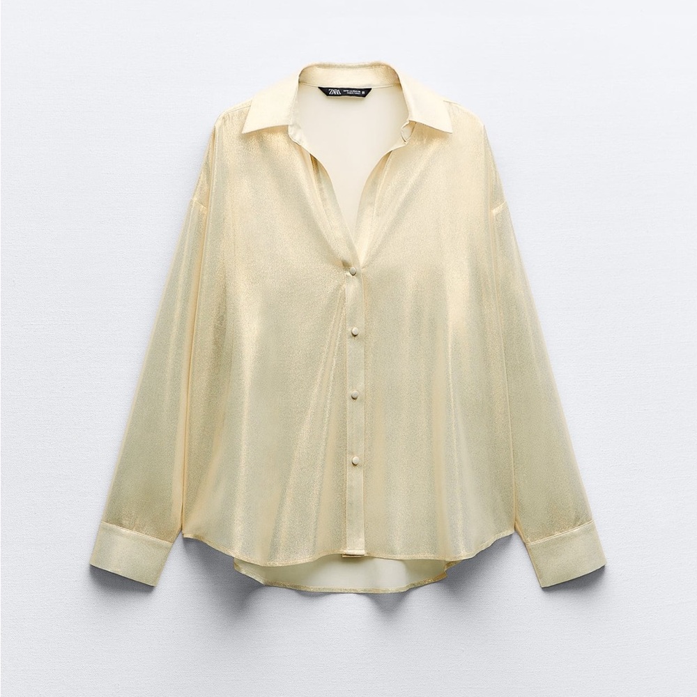 Metallic shimmer button down blouse